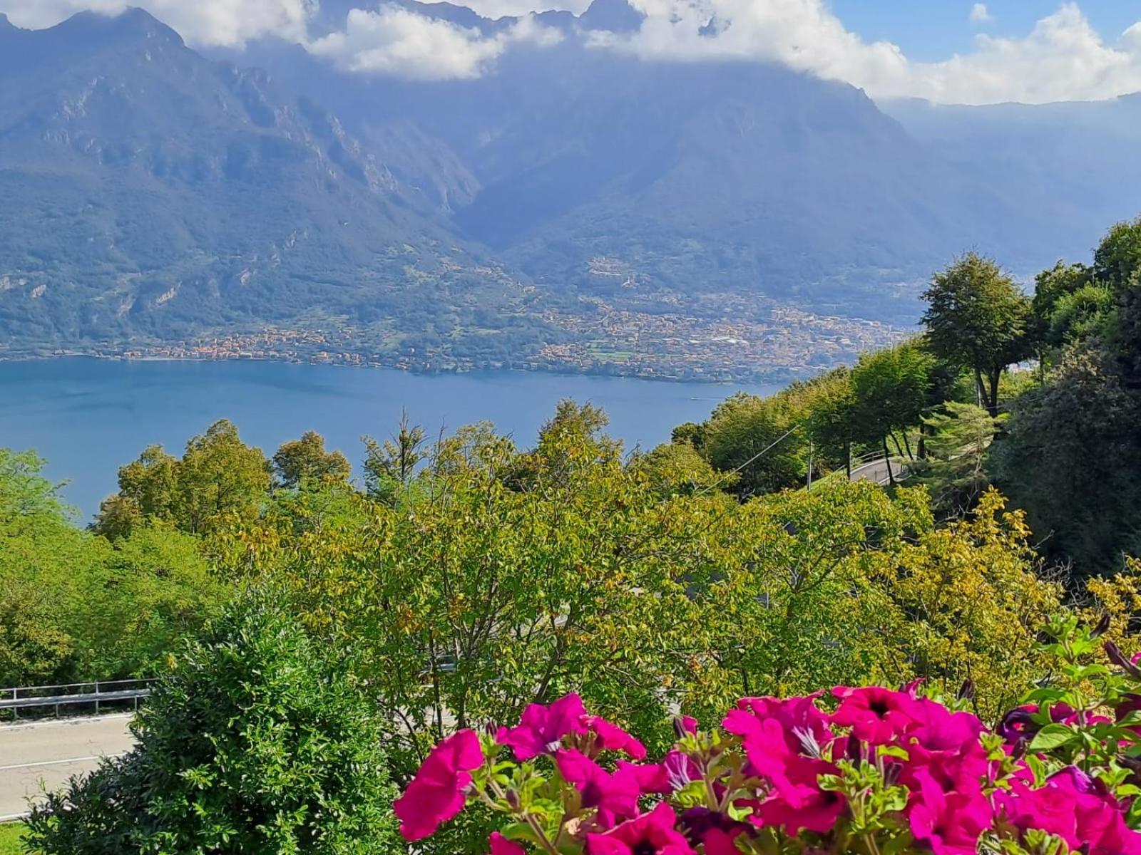 Provinciale 79 Hotel Magreglio Bagian luar foto