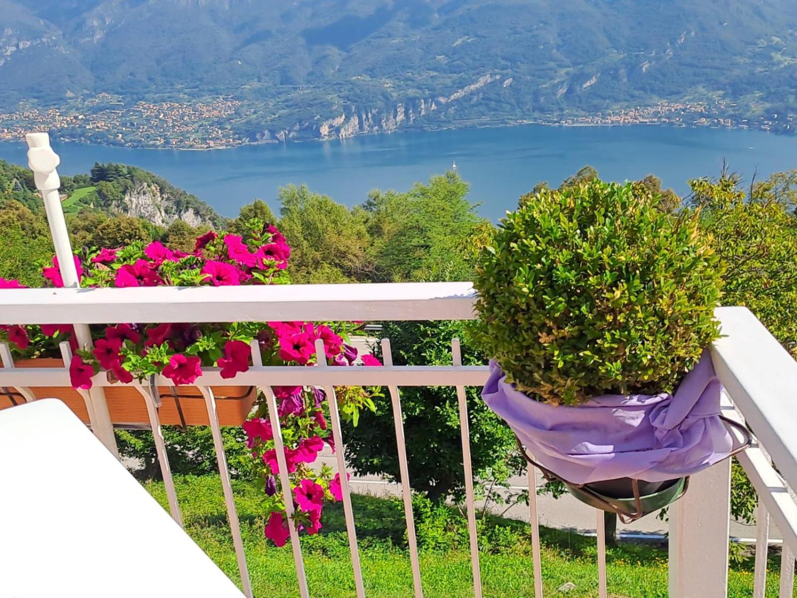 Provinciale 79 Hotel Magreglio Bagian luar foto