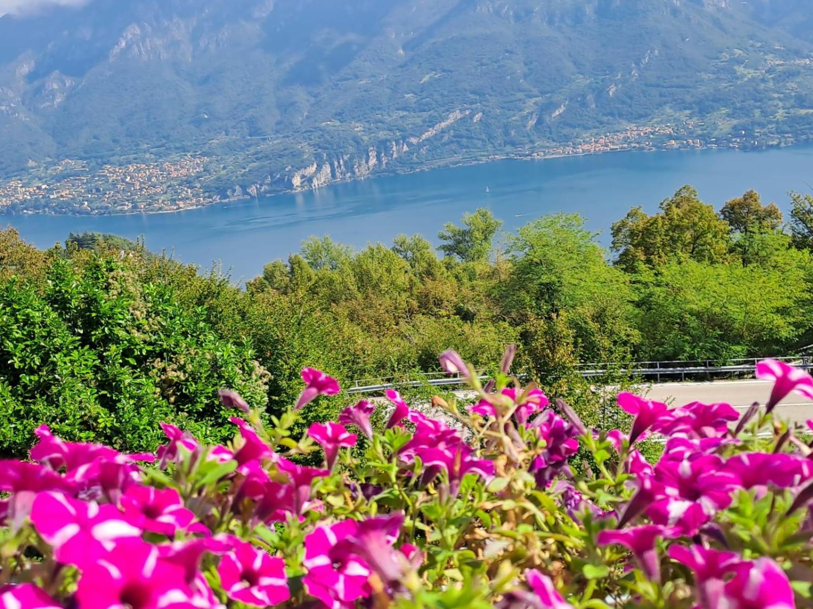 Provinciale 79 Hotel Magreglio Bagian luar foto